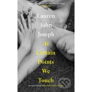 At Certain Points We Touch - Lauren John Joseph