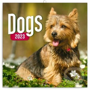 Poznámkový nástěnný kalendář Dogs 2023 - Presco Group