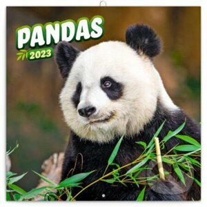 Poznámkový nástěnný kalendář Pandas 2023 - Presco Group
