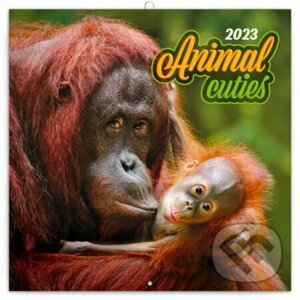 Poznámkový nástěnný kalendář Animal cuties 2023 - Presco Group