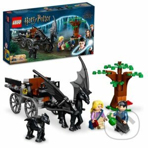 Lego Harry Potter 76400 Koč a testrálovia - LEGO