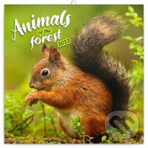 Poznámkový nástěnný kalendář Animal of the forest 2023 - Presco Group