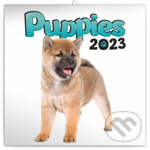 Poznámkový nástěnný kalendář Puppies 2023 - Presco Group