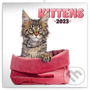 Poznámkový nástěnný kalendář Kittens 2023 - Presco Group