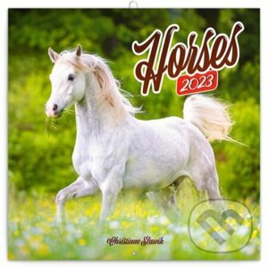 Poznámkový nástěnný kalendář Horses 2023 - Christiane Slawik