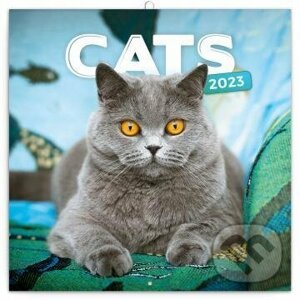Poznámkový nástěnný kalendář Cats 2023 - Presco Group