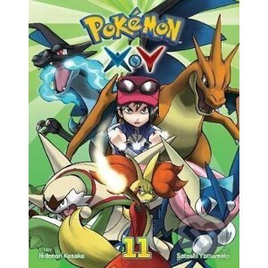 Pokemon X*Y 11 - Hidenori Kusaka