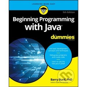 E-kniha Beginning Programming with Java For Dummies - Barry Burd