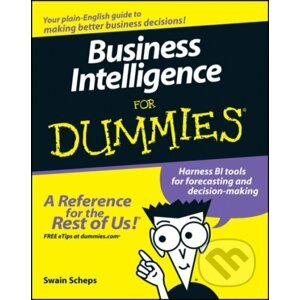 Business Intelligence For Dummies - Swain Scheps