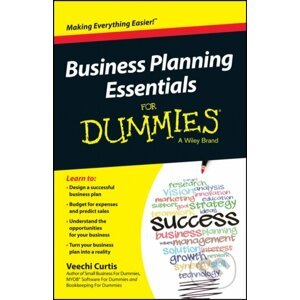 Business Planning Essentials For Dummies - Veechi Curtis