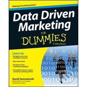 Data Driven Marketing For Dummies - David Semmelroth
