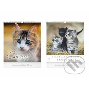 Malý Cats 2023 - nástěnný kalendář - MFP