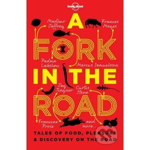 A Fork in the Road - Lonely Planet