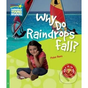 Cambridge Factbooks 3: Why do raindrops fall? - Peter Rees