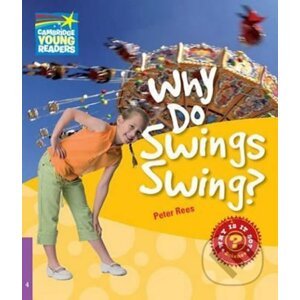 Cambridge Factbooks 4: Why do swings swing? - Peter Rees