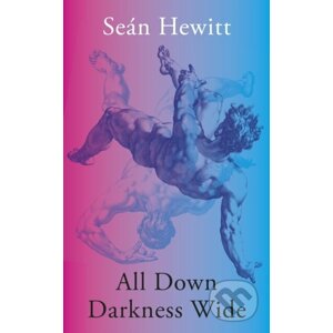 All Down Darkness Wide - Seán Hewitt