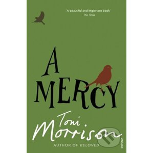 Mercy - Toni Morrison