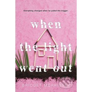 When the Light Went Out - Bridget Morrissey