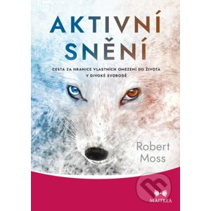 E-kniha Aktivní snění - Robert Moss
