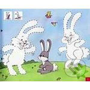 Hello Robby Rabbit 1: Flashcards - Carol Read