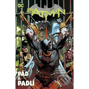 Batman 11: Pád a padlí - Tom King, Travis Moore (ilustrácie), Mikel Janín (ilustrácie)