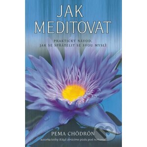 E-kniha Jak meditovat - Pema Chödrön
