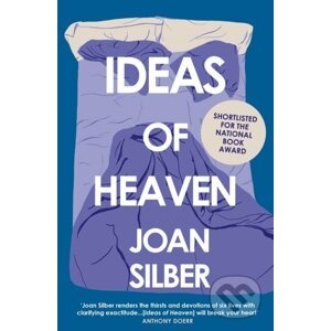 Ideas of Heaven - Joan Silber