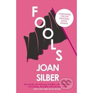 Fools - Joan Silber