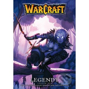 Warcraft: Legendy 2 - Richard A. Knaak, Dan Jolley, Grace Randolphová, Aaron Sparrow