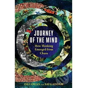 Journey of the Mind - Ogi Ogas