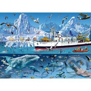 François Ruyer - Arctic - Bluebird Boat - Bluebird