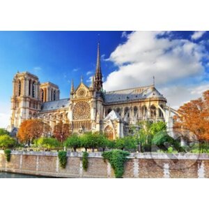 Cathédrale Notre-Dame de Paris - Bluebird