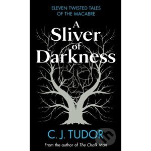 A Sliver of Darkness - C.J. Tudor