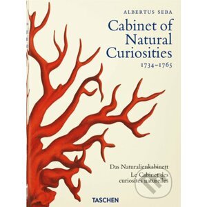 Albertus Seba - Cabinet of Natural Curiosities - Irmgard Musch, Jes Rust, Rainer Willmann