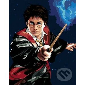 Malování podle čísel: Harry Potter - Harry a hůlka - Zuty
