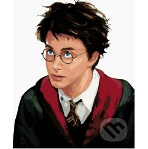 Malování podle čísel: Harry Potter - Harry portrét - Zuty