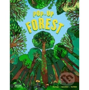 Pop-Up Forest - Bernard Duisit, Tom Vaillant (ilustrátor)