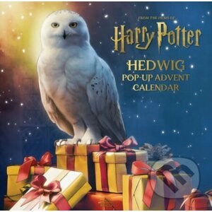 Harry Potter: Hedwig - Matthew Reinhart