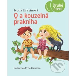 Q a kouzelná prakniha - Ivona Březinová, Sylva Francová (Ilustrátor)