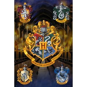 Plagát Harry Potter: Hogwarts - Harry Potter