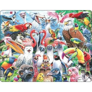 Veselé vtáky z celého sveta (CZ5) - Timy Partners