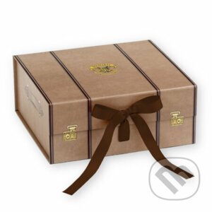Darčeková krabička Harry Potter, stredná - Carat Shop