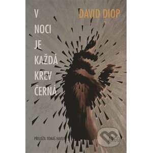 E-kniha V noci je každá krev černá - David Diop