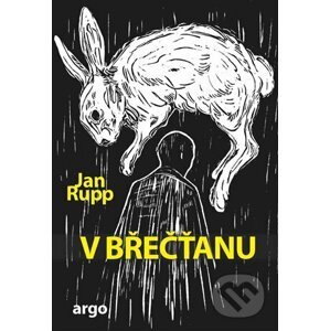E-kniha V břečťanu - Jan Rupp