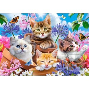 Kittens with Flowers - Castorland