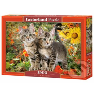 Kitten Buddies - Castorland