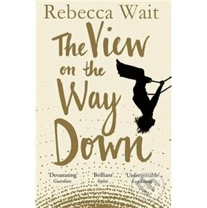 The View on the Way Down - Rebecca Wait