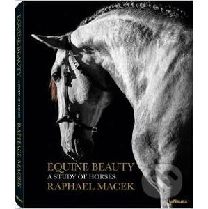 Equine Beauty - Raphael Macek