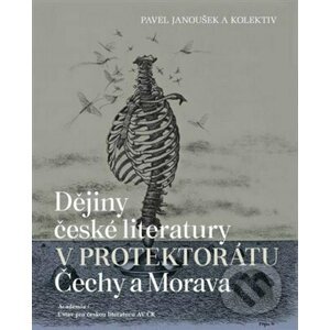 Dějiny české literatury v protektorátu Čechy a Morava - Pavel Janoušek
