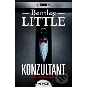 Konzultant - Bentley Little